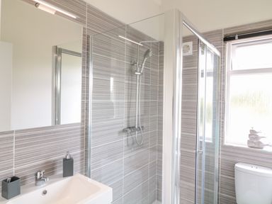 A bathroom with a shower enclosure a sink with soap dispenser and toothbrush holder and a toilet at Birch Lodge in Teigngrace near Newton Abbot
