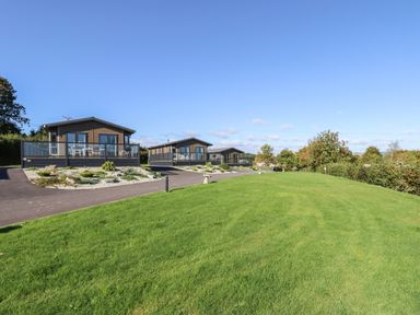 Three small cabins with glass front porches on a paved driveway next to a large grassy area at Birch Lodge in Teigngrace near Newton Abbot