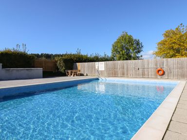 An outdoor swimming pool with clear water surrounded by a wooden fence and trees at Birch Lodge in Teigngrace near Newton Abbot