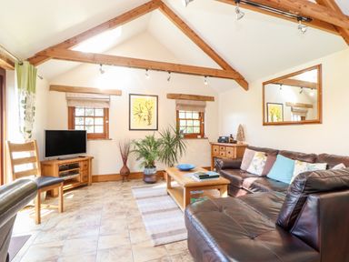 A living room with a leather sofa wooden coffee table television and plants at Valley View in St Martin near Mawgan