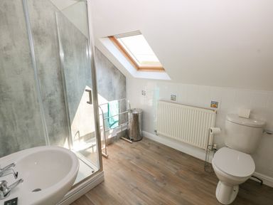 A bathroom with a toilet sink shower and skylight at Yr Hen Ardd in Dale near Milford Haven