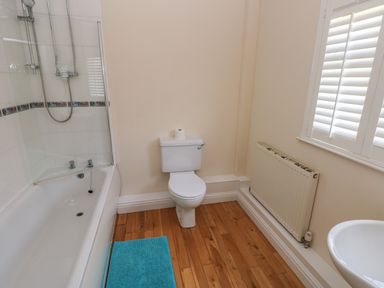 A bathroom with a bathtub shower, toilet, radiator, and a blue bath mat at Yr Hen Ardd in Dale near Milford Haven