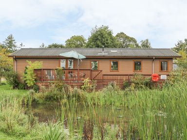 A wooden cabin with a deck and an umbrella beside a pond surrounded by grass and plants at Bulmer Farm Lodge in Malton