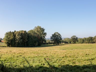 A grassy field with trees under a clear sky at Woodlands Cottage in Docklow near Leominster