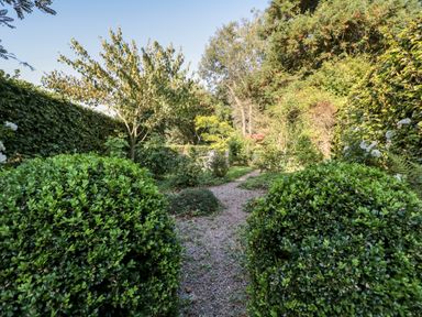 A garden path flanked by green bushes leading to trees and plants at Woodlands Cottage in Docklow near Leominster