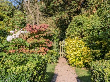 A garden path with bushes and flowers leading to a wooden gate at Woodlands Cottage in Docklow near Leominster