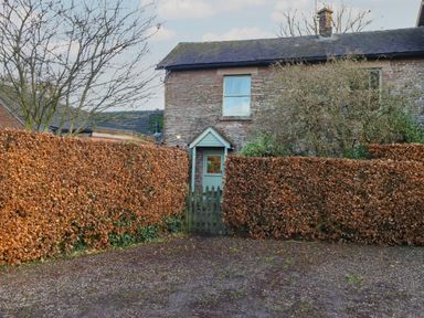 A stone house with a green door behind a wooden gate and brown hedges at Woodlands Cottage in Docklow near Leominster