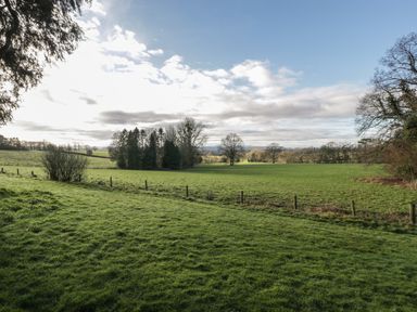 A grassy field with scattered trees and a wooden fence under a cloudy sky at Woodlands Cottage in Docklow near Leominster