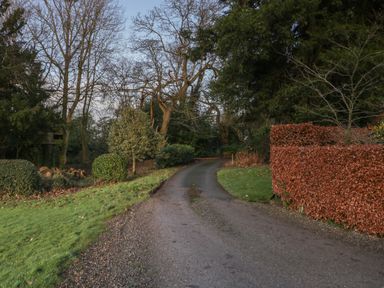 A curved driveway bordered by grass and hedges with trees on both sides at Woodlands Cottage in Docklow near Leominster