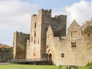 A stone castle with towers and arched entrance next to a grassy area with a wooden bench