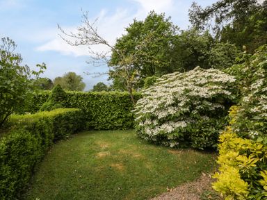 A garden area with grass surrounded by various green bushes and trees at Woodlands Cottage in Docklow near Leominster