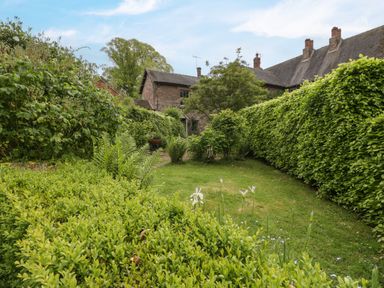 A garden with hedges ferns flowering plants and a stone house in the background at Woodlands Cottage in Docklow near Leominster