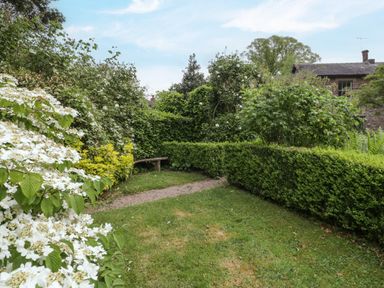 A garden with a gravel path green hedges a wooden bench and flowering plants at Woodlands Cottage in Docklow near Leominster