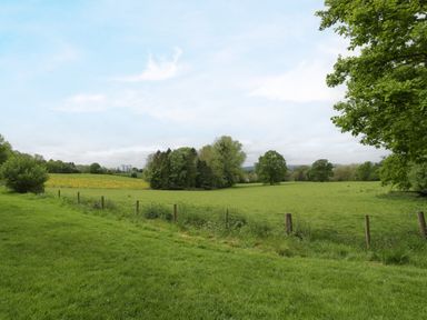 A grassy field with trees and a fence under a blue sky at Woodlands Cottage in Docklow near Leominster