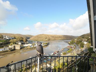 A river view from a balcony with a decorative owl on the railing and buildings along the riverbank at Elmbank in Looe
