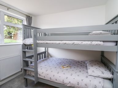 A bedroom with a gray bunk bed and a window showing greenery at Gwynant in Pontrhydfendigaid