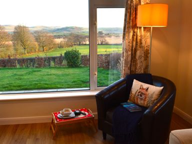 A leather armchair with a fox cushion and a book next to a floor lamp and a window showing a green landscape at Gwynant in Pontrhydfendigaid