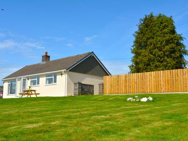 A bungalow with a picnic table outside on a grassy lawn next to a wooden fence and large tree at Gwynant in Pontrhydfendigaid