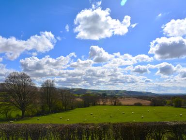 A field with sheep and trees under a partly cloudy sky at Gwynant in Pontrhydfendigaid