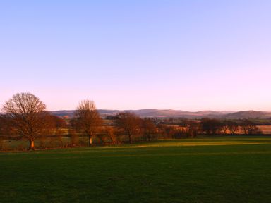 A grassy field with leafless trees and hills in the background under a clear sky at Gwynant in Pontrhydfendigaid