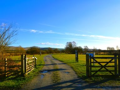 A country road with open wooden gates leading to a grassy field with signs and trees in the distance at Gwynant in Pontrhydfendigaid