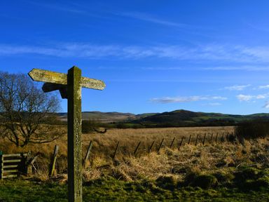 A wooden signpost in a rural field with hills and a tree under a blue sky at Gwynant in Pontrhydfendigaid