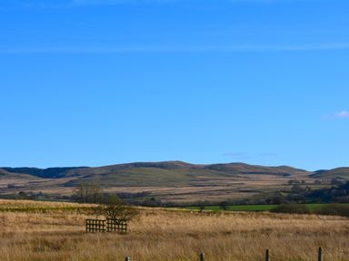 A grass field with a young tree and wooden fence with hills in the background at Gwynant in Pontrhydfendigaid