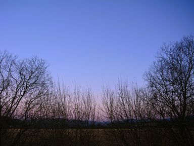Bare trees with a field and hills in the distance under a blue sky at Gwynant in Pontrhydfendigaid