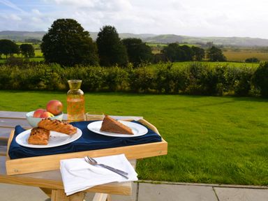 A wooden tray with pastries apples and a jug of drink on a table outside with a grassy field and trees at Gwynant in Pontrhydfendigaid