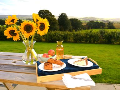 A wooden picnic table outside with a vase of sunflowers a tray with two plates of pastries a bowl of apples and a jug of drink at Gwynant in Pontrhydfendigaid
