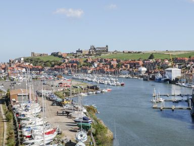 A harbor with boats docked and a town with red roof houses and a large abbey on a hill at Stakesby House Apartment 1 in Whitby