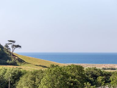 A coastal view with a grassy hill trees and the ocean in the background at Beach Haven in West Bexington