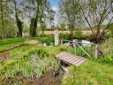 A small wooden bridge over water with green plants and trees around at The Folly in Weobley