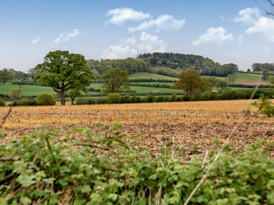 A rural landscape with fields trees and hills under a blue sky at The Folly in Weobley