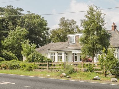 A cottage with a wooden fence and trees in front by a road at Vallum Kiosk in Haltwhistle