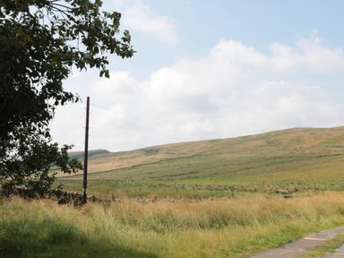 A countryside landscape with grassy fields hills a tree and a utility pole at Vallum Kiosk in Haltwhistle