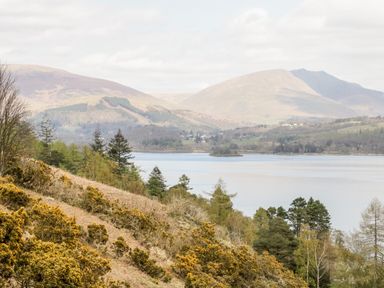 A hillside with bushes and trees overlooking a lake with mountains in the background at Holly Cottage in Keswick