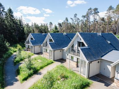 Three connected houses with blue roofs surrounded by grass and trees at Otter Lodge in Feshiebridge near Aviemore