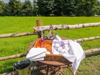 An outdoor setup with a wooden tray containing marshmallows a metal skewer and a white cloth on a table near a bottle in an ice bucket and a wooden fence with grass and trees in the background at High Rigg Shepherd's Retreat in Brampton Cumbria