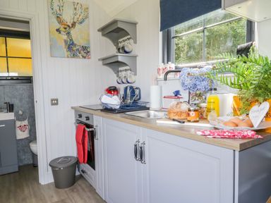 A kitchen countertop with a sink bread eggs orange juice and plants at High Rigg Shepherd's Retreat in Brampton Cumbria