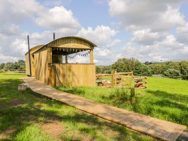 A wooden shepherds hut with a curved roof and a wooden walkway leading to it in a grassy field with a wooden gate at High Rigg Shepherd's Retreat in Brampton Cumbria
