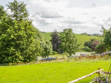 A green grassy field with trees flowers and a small pond with a wooden fence in the foreground at High Rigg Shepherd's Retreat in Brampton Cumbria