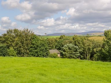 A grassy field with trees and hills in the distance at High Rigg Shepherd's Retreat in Brampton Cumbria
