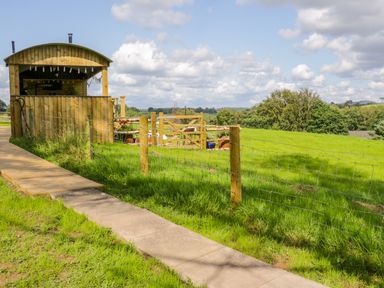 A wooden covered structure and a fenced green field with a wooden gate at High Rigg Shepherd's Retreat in Brampton Cumbria