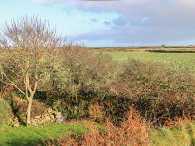 A rural field with leafless trees and bushes under a partly cloudy sky at Kernyk in Rinsey near Porthleven