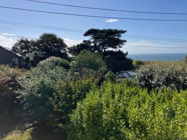 A garden with trees and a greenhouse at Kernyk in Rinsey near Porthleven