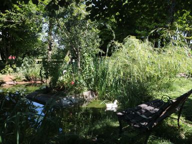 A garden area with a bench beside a small pond surrounded by trees and plants at The Cider Shed in Winscombe