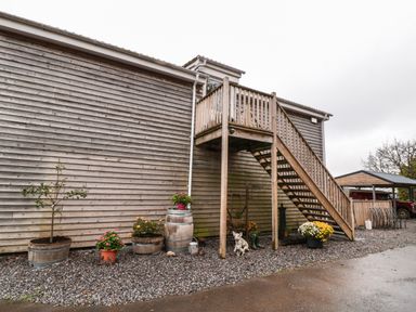 Outdoor wooden staircase attached to a wooden building with potted plants and gravel ground at The Cider Shed in Winscombe