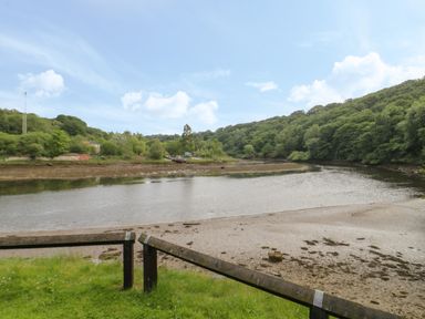 A river with a curved shoreline surrounded by trees and a grassy area with a wooden fence at Maplebeck in Whitby