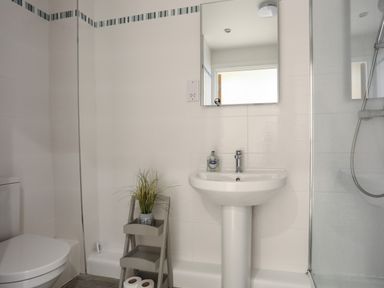 A bathroom with a sink mirror toilet and a shower head at Puffin View in Rhos-On-Sea
